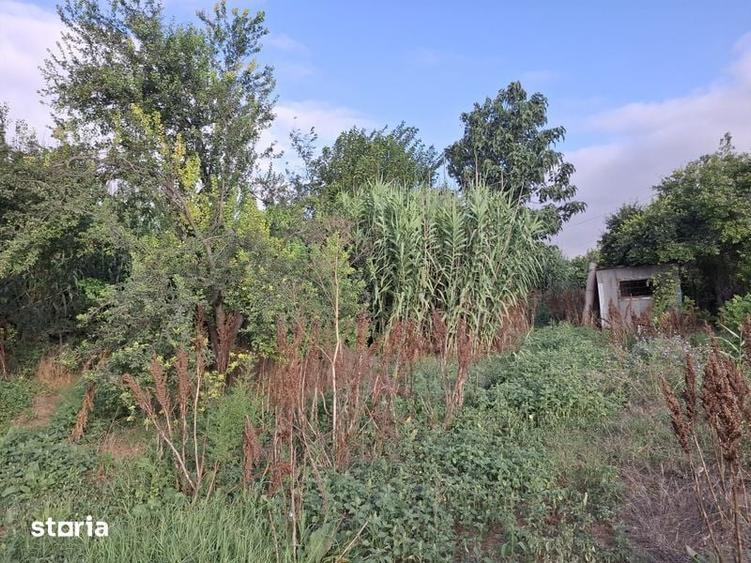Vand teren 4000 MP - Cheia/ Cheile Dobrogei, judetul Constanta - 2