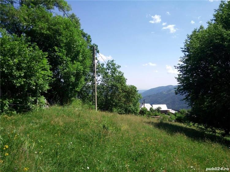 Teren de 5619 mp, în Măguri