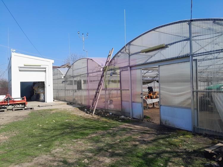 IALOMITA - SE VINDE TEREN 3100 MP - SAT ROSIORI - 9