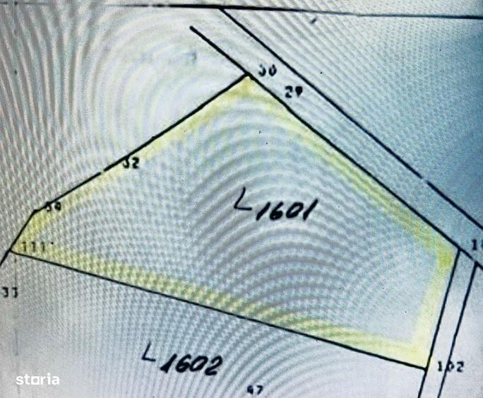 Teren intravilan de 1.125 mp la liziera Padurii Gheorghe Doja Oradea - 3
