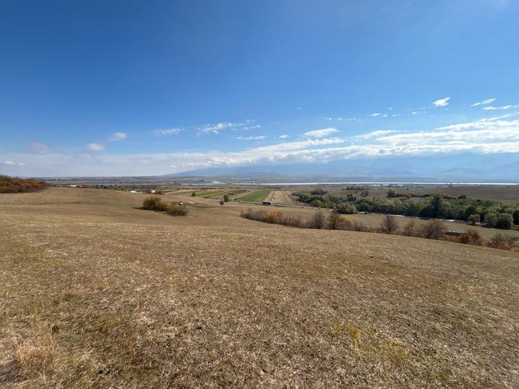 Teren agricol extravilan de 8300 mp, în Bradu