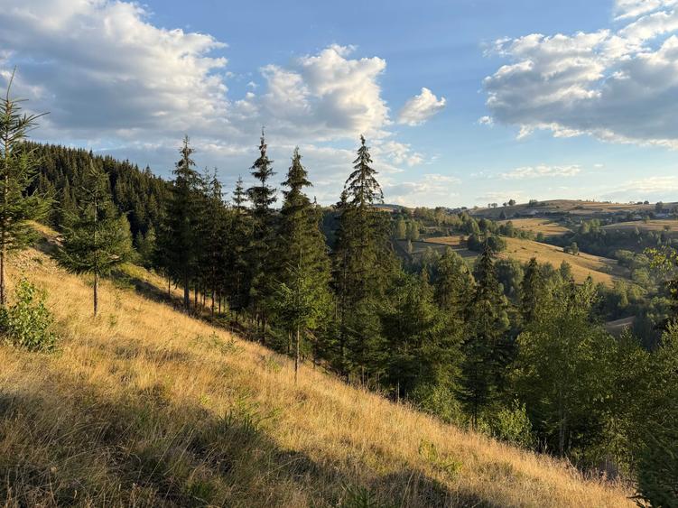 Teren de 1400 mp, în Măguri