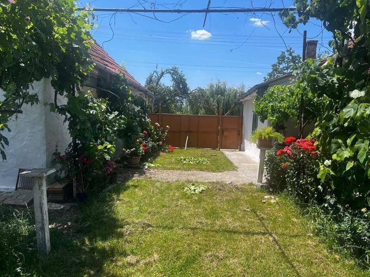 Casă cu 4 camere în Jamu Mare