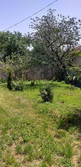 Casa - crama : 6 camere terasa vita de vie - 8