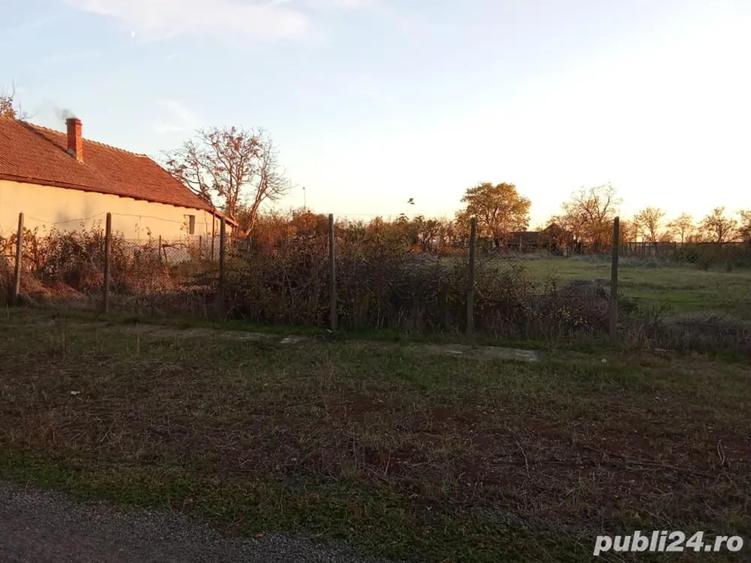 Teren de 1500 mp, în Șagu