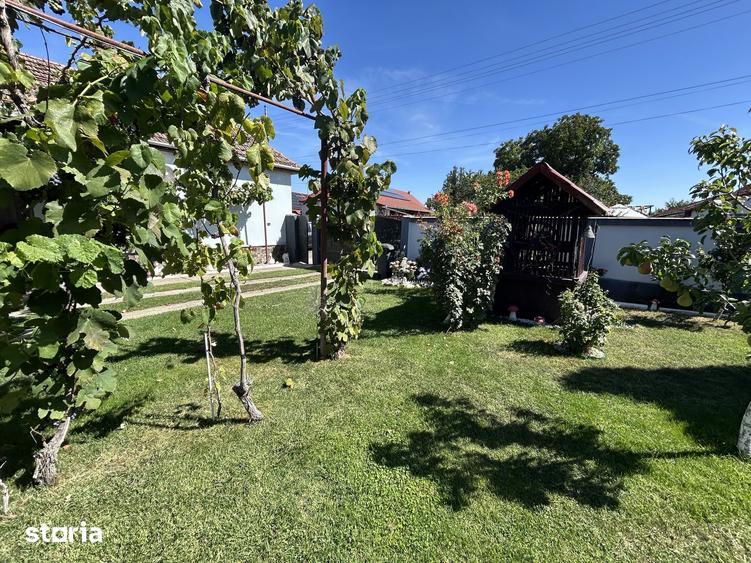 Casă cu 6 camere cu Teren 922 Mp în Zădăreni