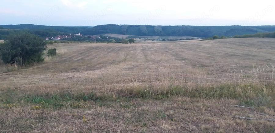 Teren de 9600 mp, în Betfia