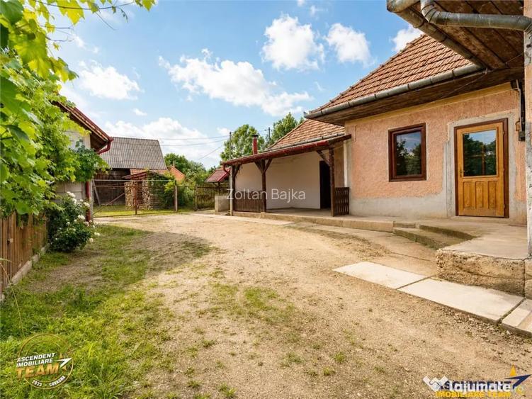 Ansamblu: Casa atelier sura 1.123mp teren, Sat Lunga, - Lunga (Covasna)