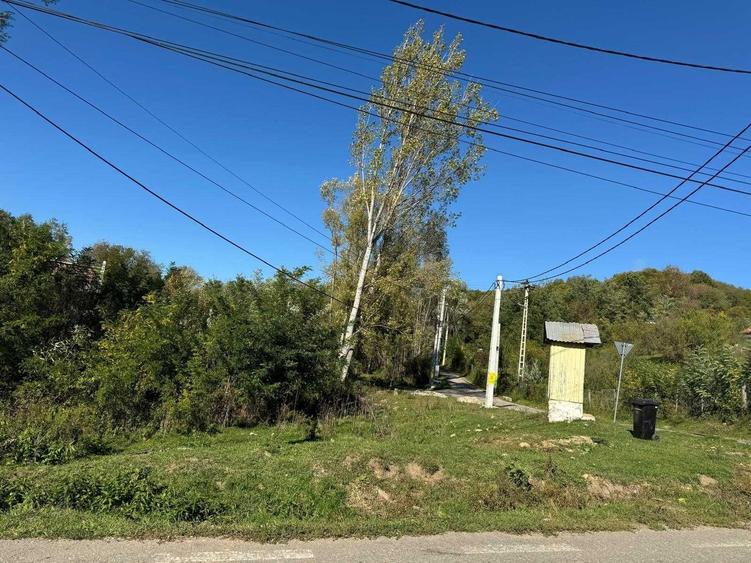 Spațiu comercial, în Tunari