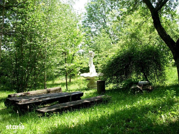 Teren de 14000 mp, în Mihai Viteazu