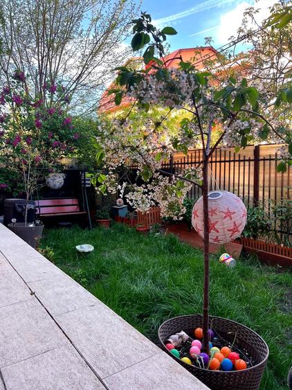 Apartament cu 3 camere semidecomandat în Doamna Ghica