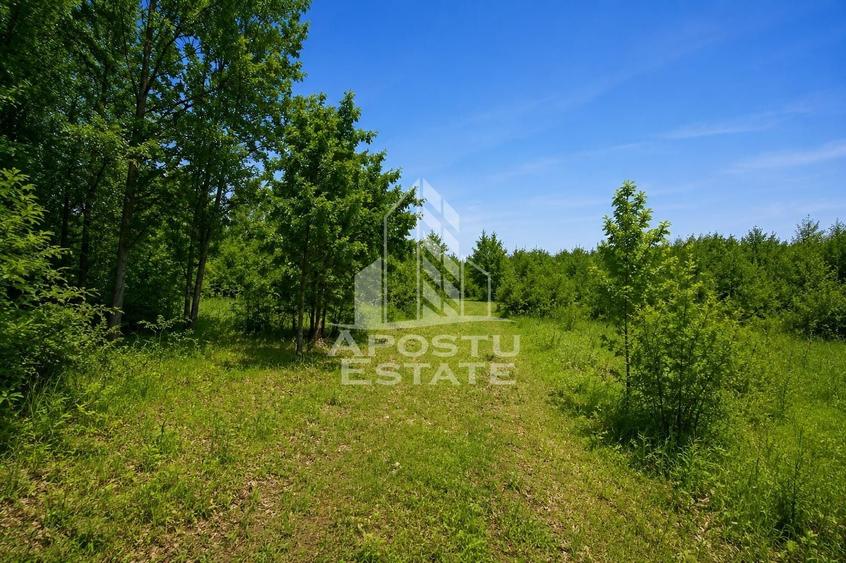 Teren agricol extravilan de 8600 mp, în Cuied