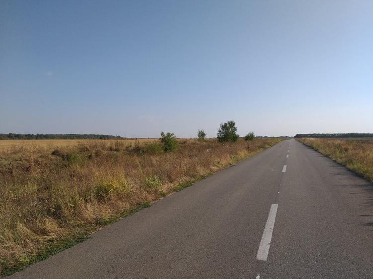 Teren agricol extravilan de 270000 mp, în Bâldana
