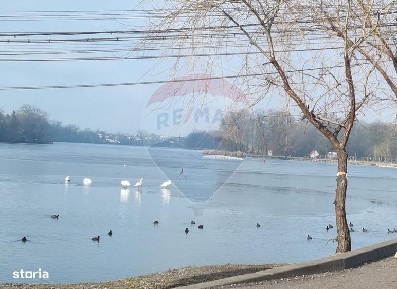 Vanzare Teren 625mp Mogosoaia / Strada Livezilor - 7