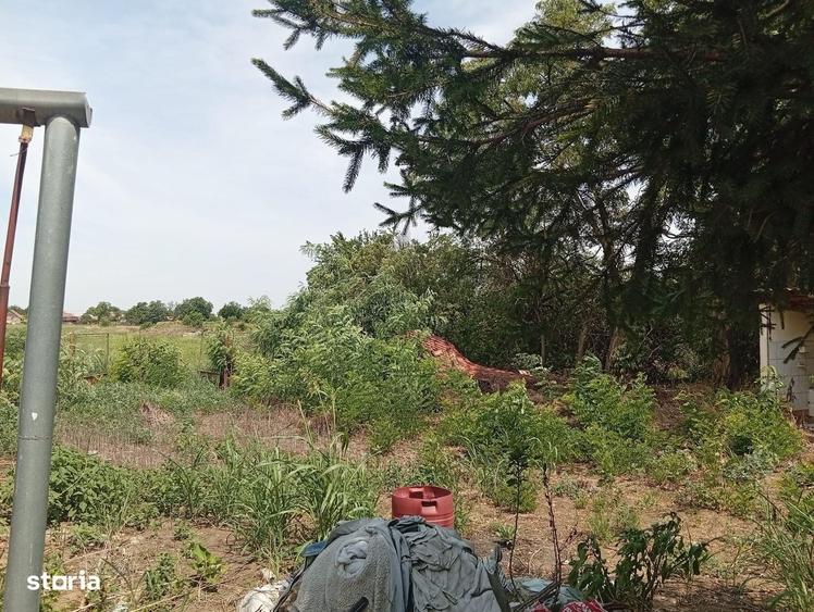2 case de vanzare in Iratosu - 20