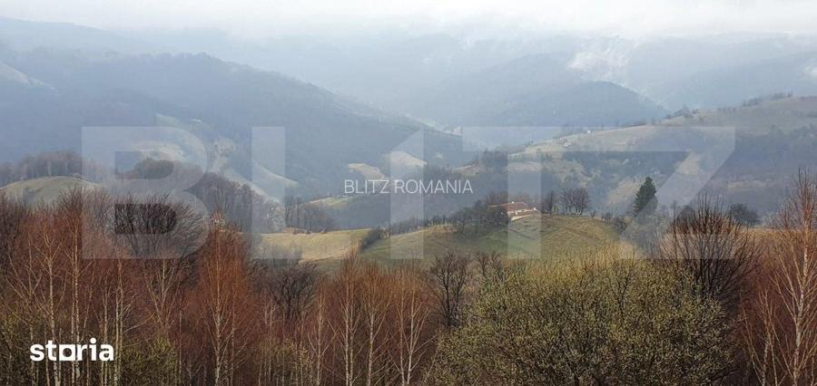 Teren 9648 mp, priveliste superba, Poiana Marului!