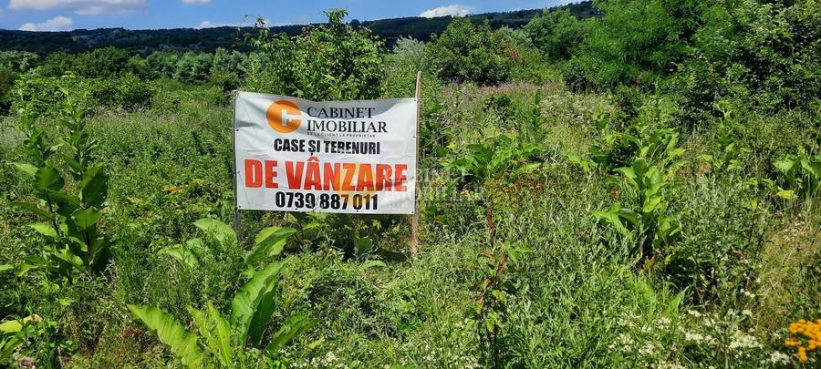 Teren Construcții de 2800 mp, în Tomești