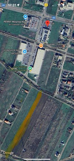 Teren de 10000 mp, în Moșnița Nouă