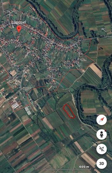 Teren de 2900 mp, în Lăpuș