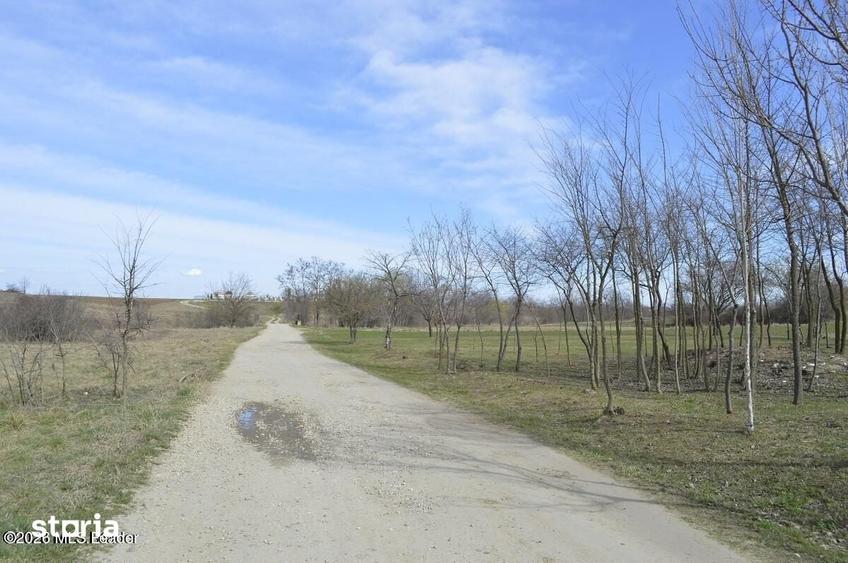 Teren de 4000 mp, în Suseni