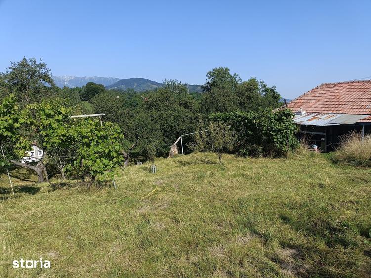 Teren de 3980 mp, în Bran