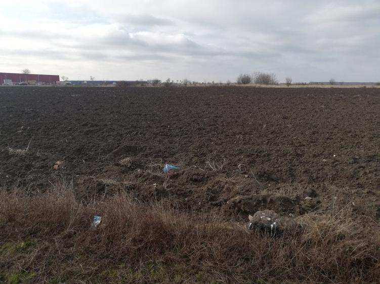 Teren agricol extravilan de 33100 mp, în Afumați