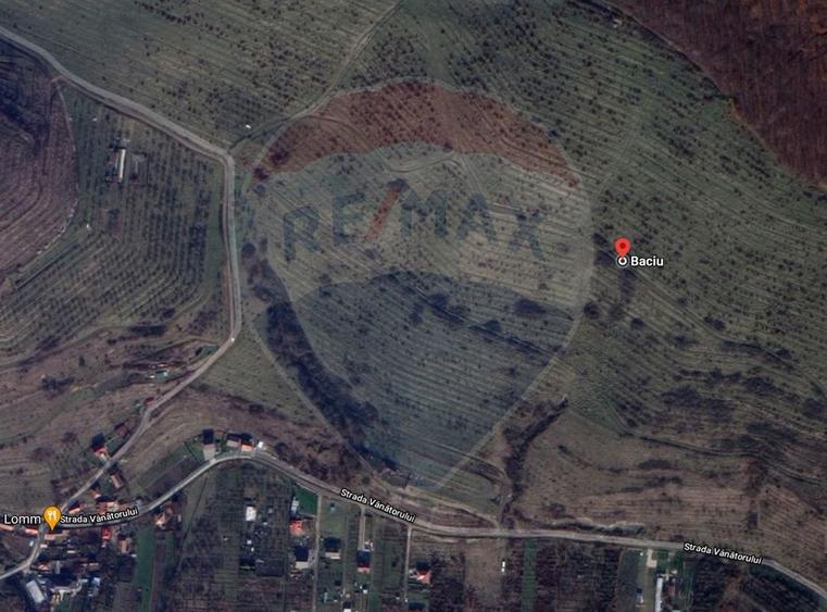 Teren Construcții intravilan de 11000 mp, în Mera
