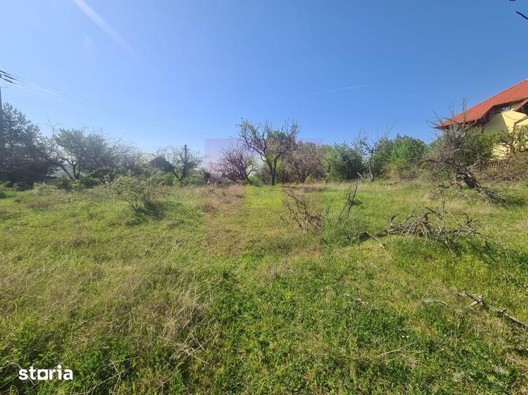 Teren de 2500 mp, în Voila
