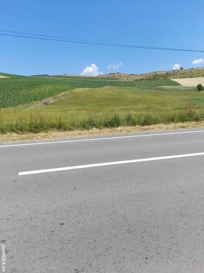 Teren de 5800 mp, în Gădălin