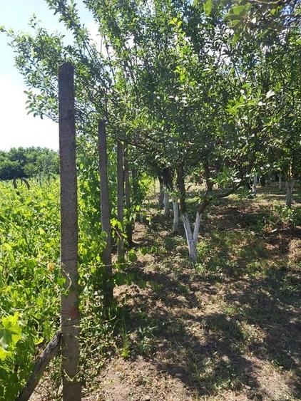 Casă cu 2 camere cu Teren 2200 Mp în Idrici