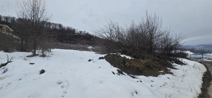Teren de 3946 mp, în Jelna