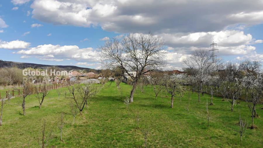 Teren Construcții intravilan de 4898 mp, în Cornu de Jos (Cornu)