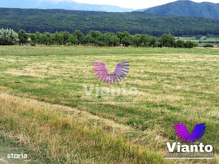 Oportunitate-Teren Extravilan 3100 mp cu vedere Panoramica-Tropinii No - 9