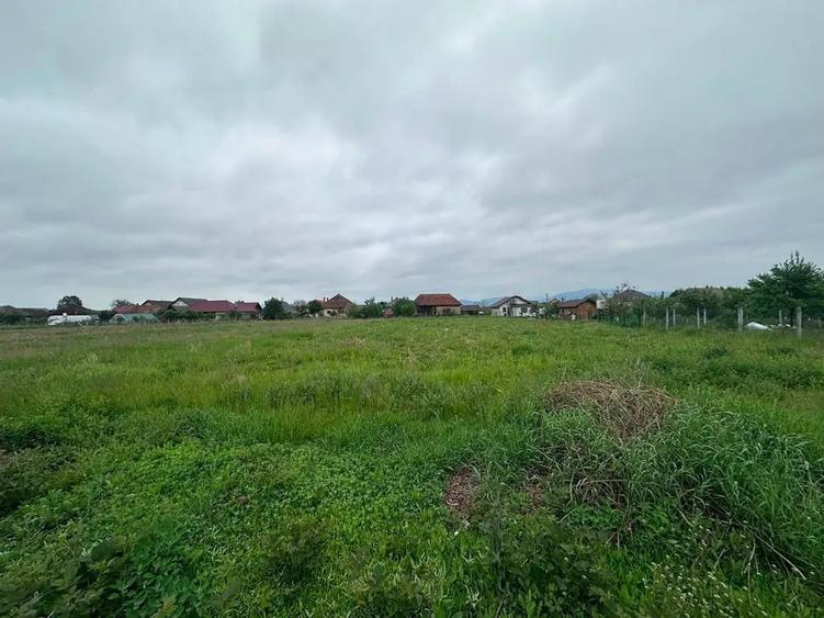 Teren de 2000 mp, în Lăpuș