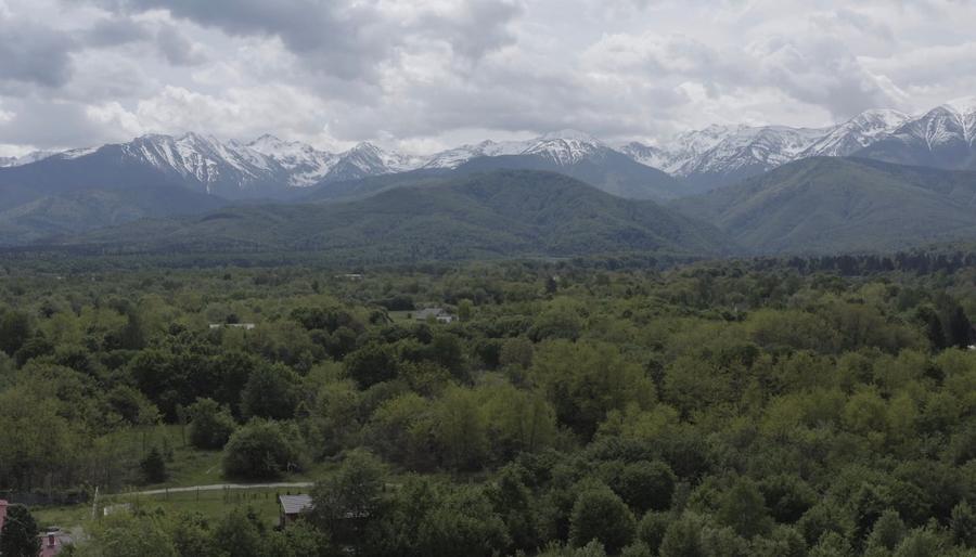 Casă individuală cu 10 camere cu Teren 4600 Mp în Central