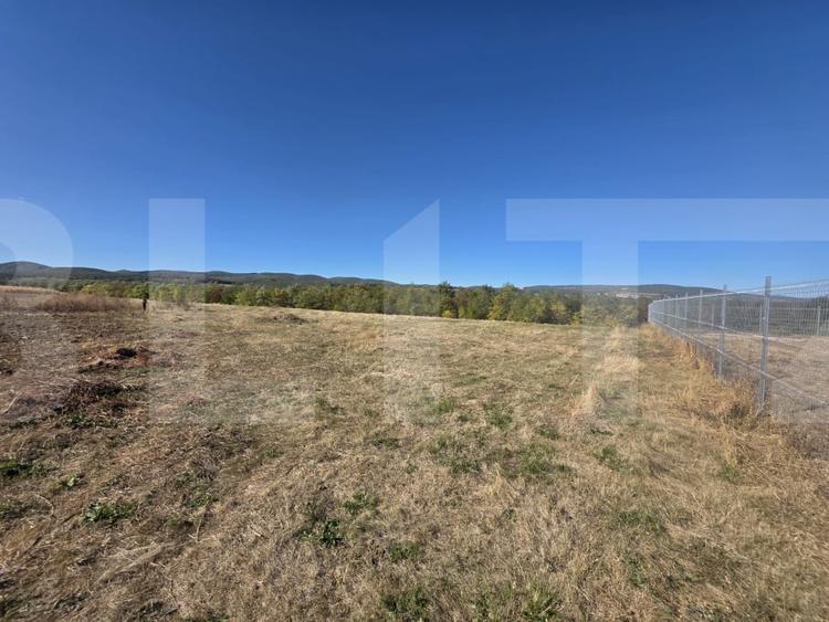 Teren Construcții intravilan de 7100 mp, în Arcuș