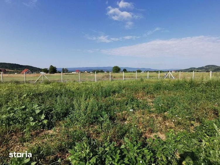 Teren de 1500 mp, în Bocicoiu Mare