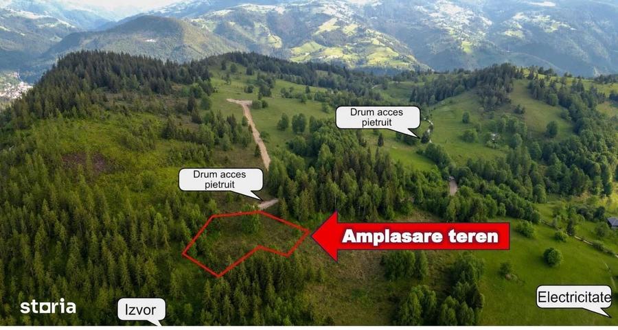 Teren intravilan 3.120 mp in Sohodol, Albac - Muntii Apuseni - 1