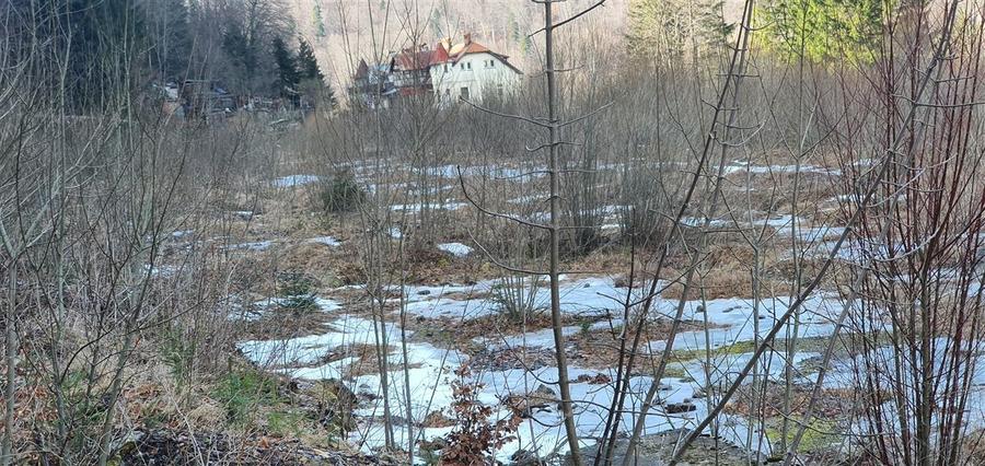 Teren Construcții intravilan de 39000 mp, în Ultracentral
