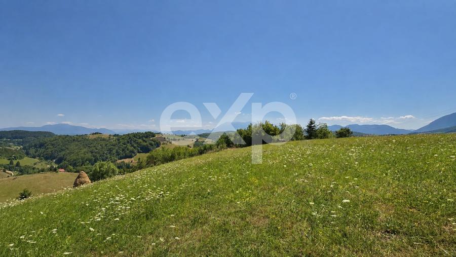 Teren agricol extravilan de 8544 mp, în Poiana Mărului