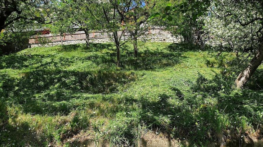 Casă cu 2 camere cu Teren 1008 Mp în Bujoreni