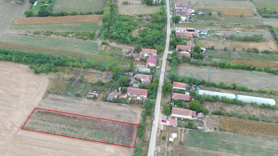 Teren Construcții intravilan de 1769 mp, în Bicaci