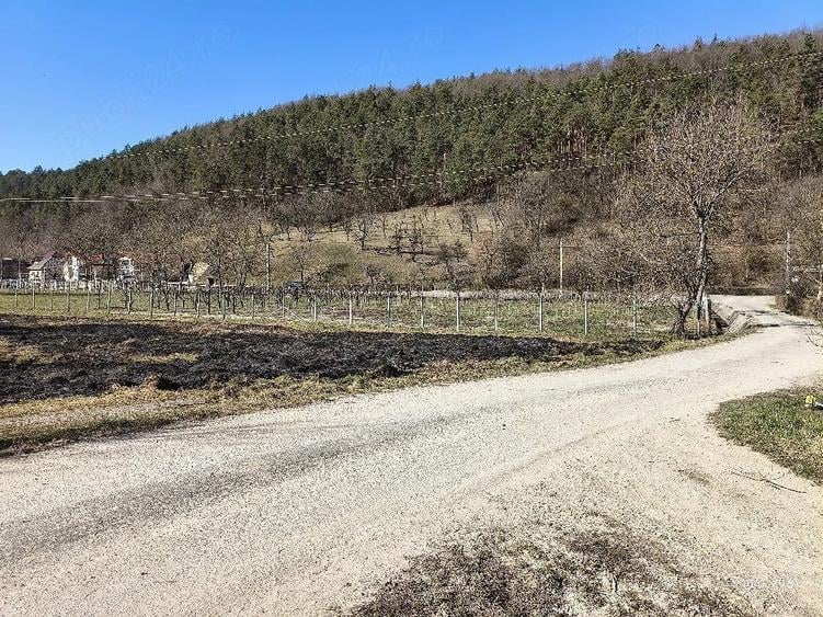 Teren de 34 mp, în Buciumi