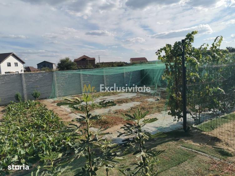 Spațiu comercial, în Cernele