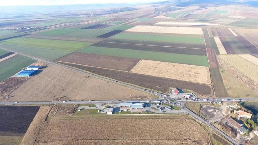 Teren de 10000 mp, în Reci