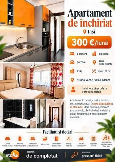 Va oferim spre inchiriat apartament 1 camera - Valea Adanca - modern