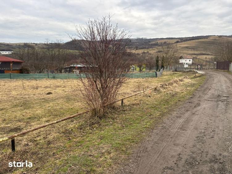 Teren de 1200 mp, în Borhanci