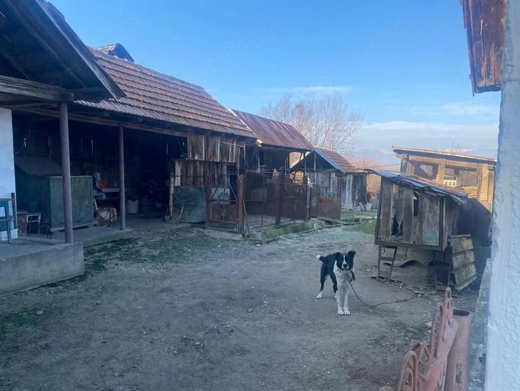 Casă cu Teren 7661 Mp în Șomănești