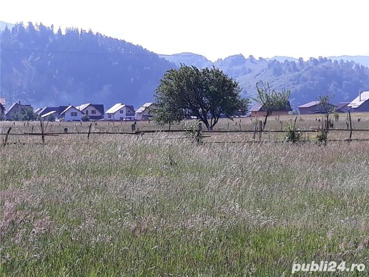 Teren de 8600 mp, în Central