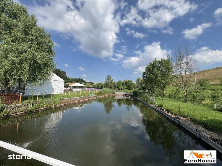 Casă cu 5 camere cu Teren 7140 Mp în Est
